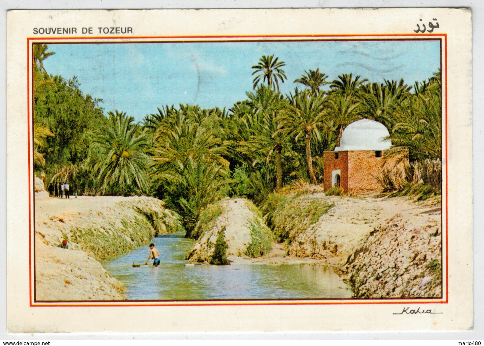 SOUVENIR   DE   TOZEUR      RIVIERE  ET  MARABOUT  DANS L' OASIS       (VIAGGIATA) - Tunisia