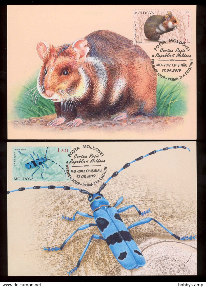 Moldova 2019 Red Book Of Moldova Beetles Insects Rodents 4 Maxicards - Moldova