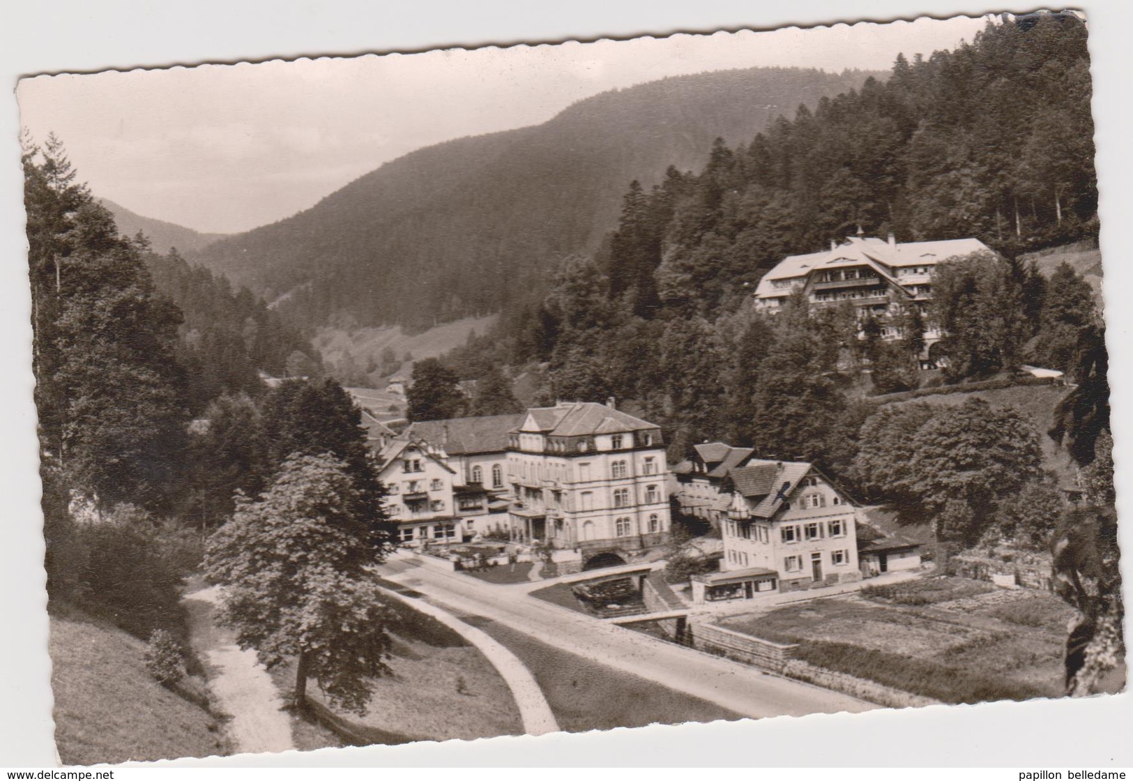 Bad Rippoldsau Schwarzwald - Bad Rippoldsau - Schapbach