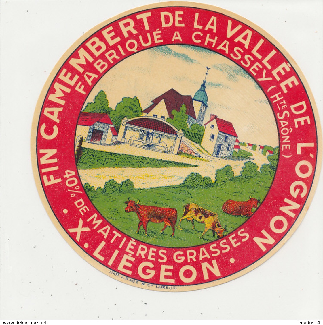 V 91 / ETIQUETTE DE FROMAGE CAMEMBERT   DE LA VALLEE DE L'OGNON LIEGEON   CHASSEY  (HAUTE SAONE) - Formaggio