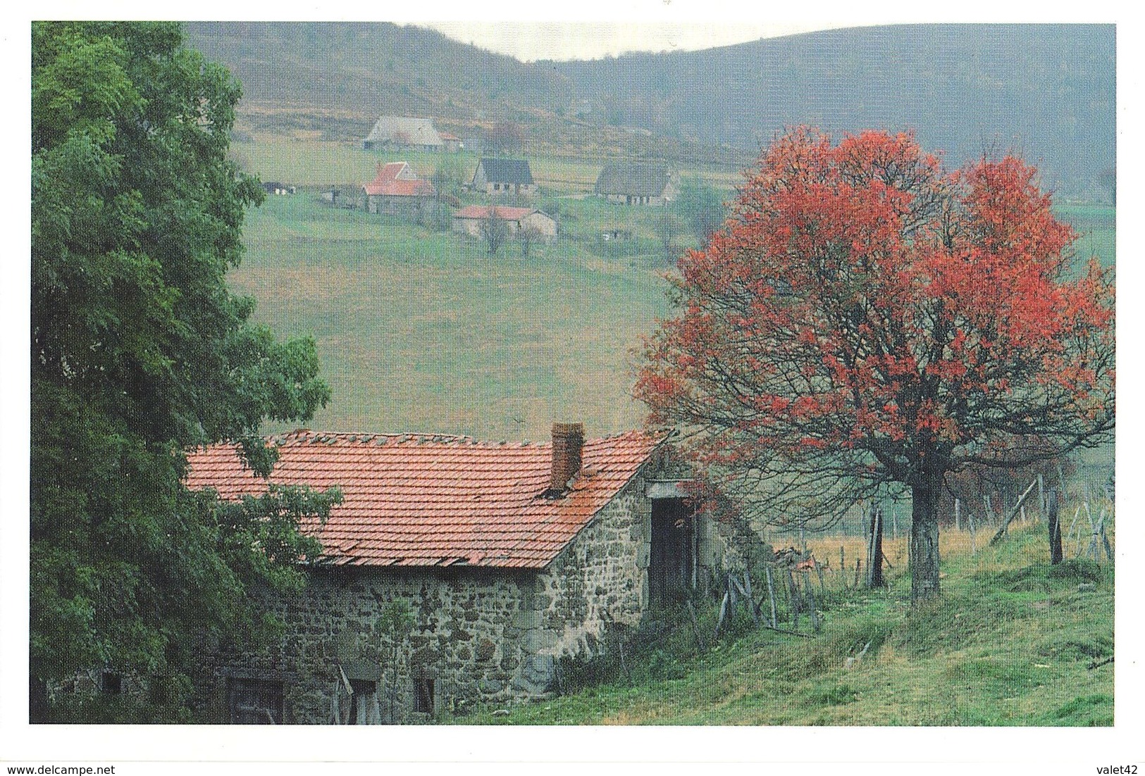 ENVIRONS DE MONTBRISON PAYSAGE FOREZIEN   ( PTHTO  C GAUTHIER ) - Autres & Non Classés