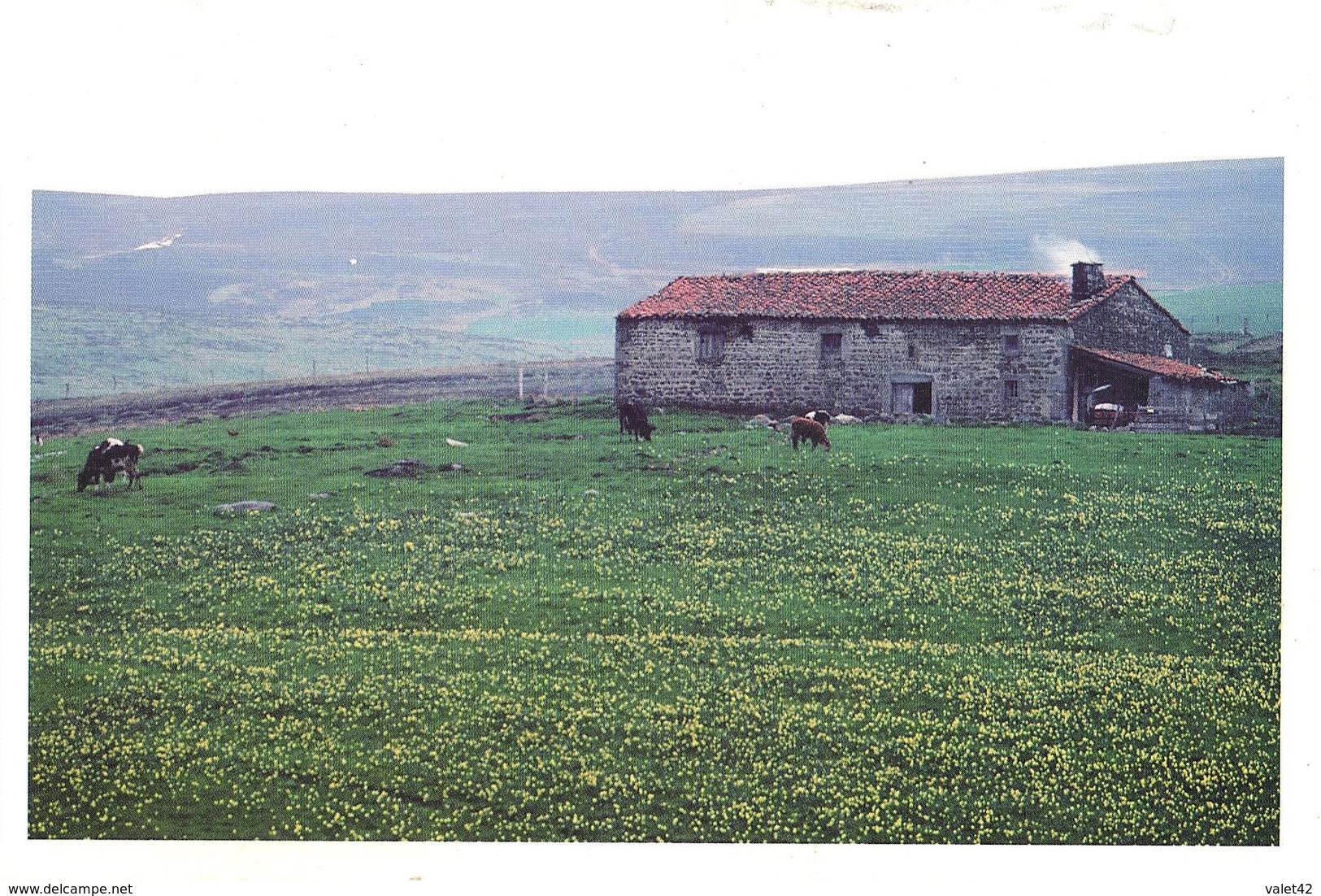 ENVIRONS DE MONTBRISON  JASSERIE AU PRINTEMPS SUR LES PLATEAUX DE GARNIER    ( PHOTO  C GAUTHIER ) - Autres & Non Classés