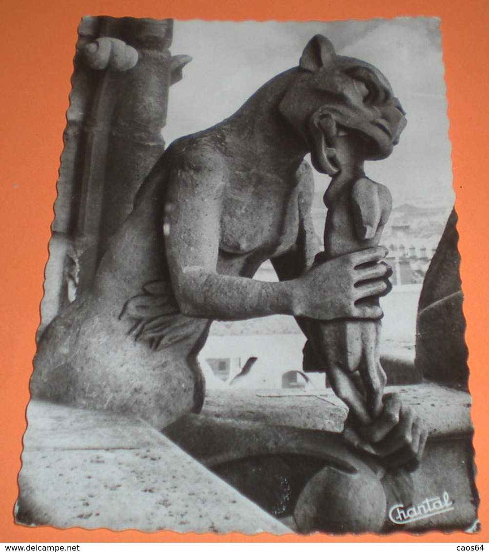 Paris Chimères De Notre-Dame Le Rongeur Scultura CARTOLINA Viaggiata 1965 - Sculture