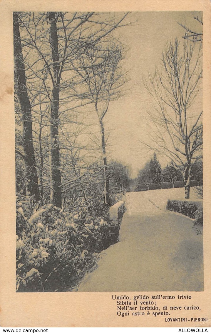 3192 "ALBERI INNEVATI" STROFA DI LOVANTINI PIERONI CARTOLINA POSTALE  ORIGINALE NON SPEDITA - Alberi