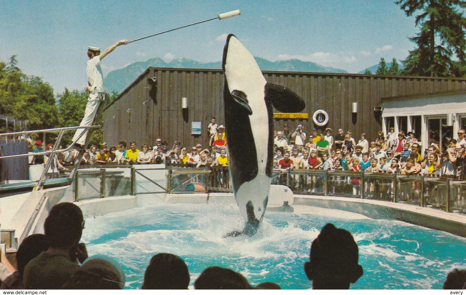 Vancouver Public Aquarium, Stanley Park, Vancouver, British Columbia Skana  Killer Whale Performing - Vancouver