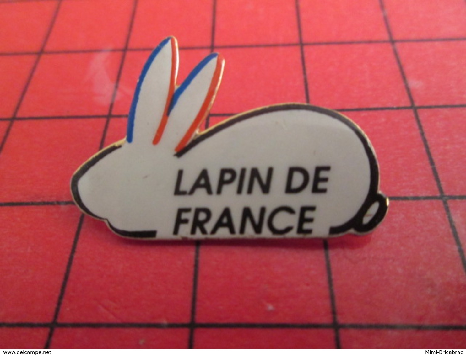 611b PIN'S PINS / Rare Et De Belle Qualité / THEME ANIMAUX : LAPIN DE FRANCE .... Et Lapine De France Elle Sent Le Paté? - Animales