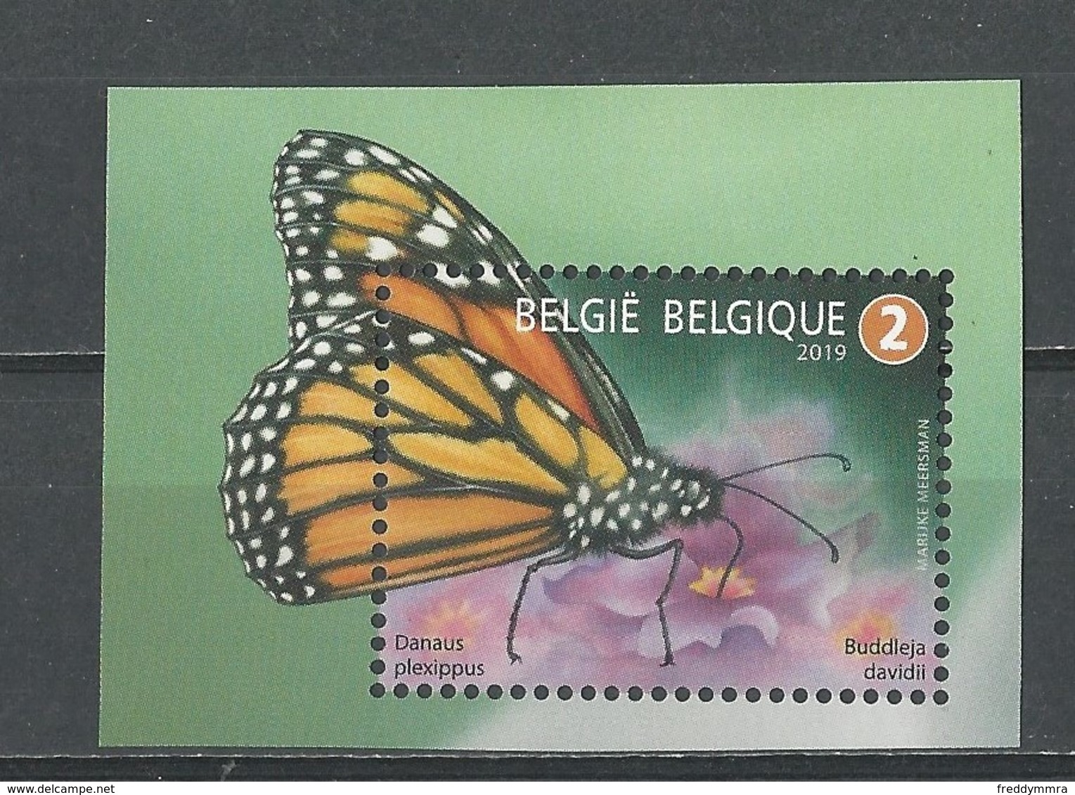 Belgique: Nouveauté 2019 ** (Papillon) - Papillons