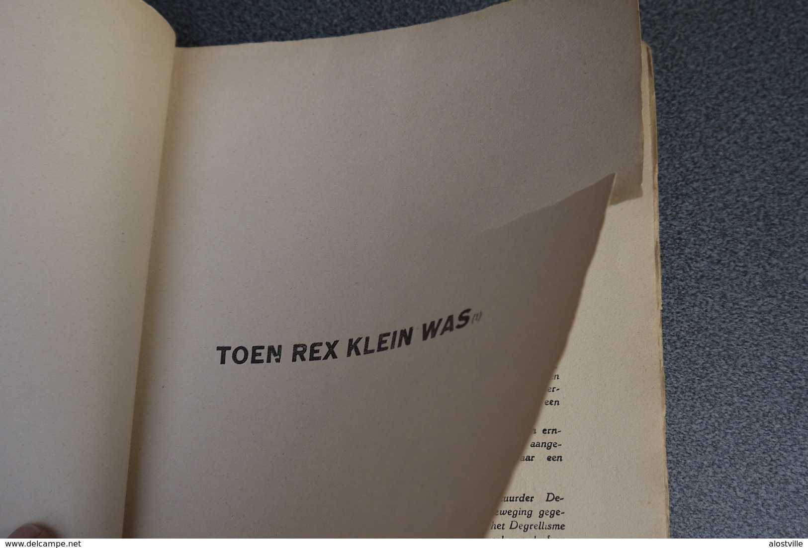 Aalst Rexisme " Toen Rex Klein Was " Firmin Verbrugghen Contra Rex Liberaal Zeer Zeldzame Brochure 1937 Leon Degrelle - Documents Historiques