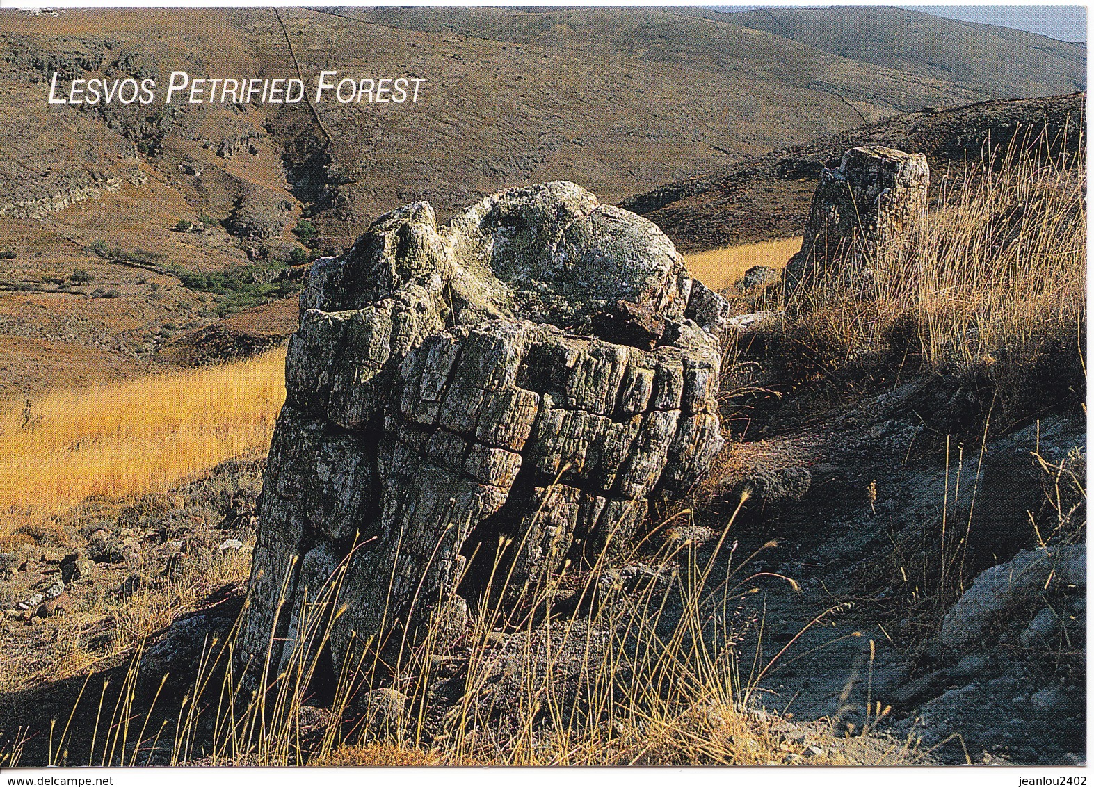 GRECE - LESVOS PETRIFIED FOREST - Grèce