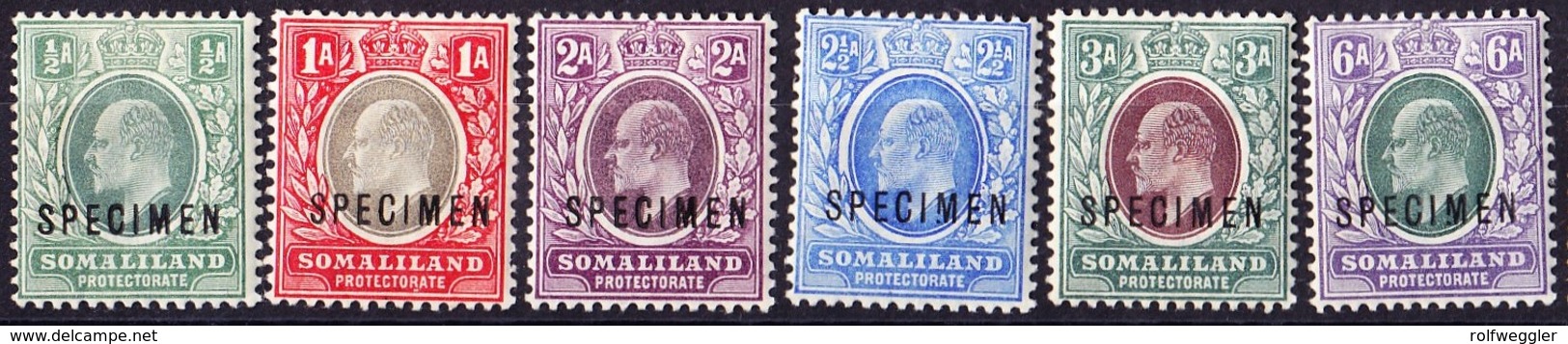 1904 König Edward, Sechs Verschiedene Werte Mit Aufdruck Specimen - Somaliland (Protectorate ...-1959)