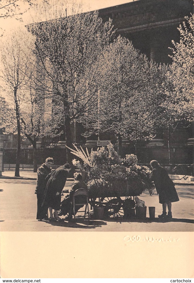 75 - Paris - Beau Cliché De La Marchande De Fleurs - Place De La Madeleine - Photo D'Albert Monier - Other & Unclassified