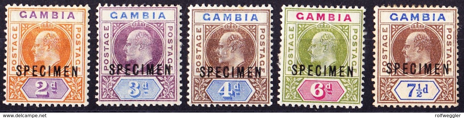 König Edward Vier Werte+7 1/2 D Zahnmängel, Alle überdruckt Specimen - Gambia (...-1964)