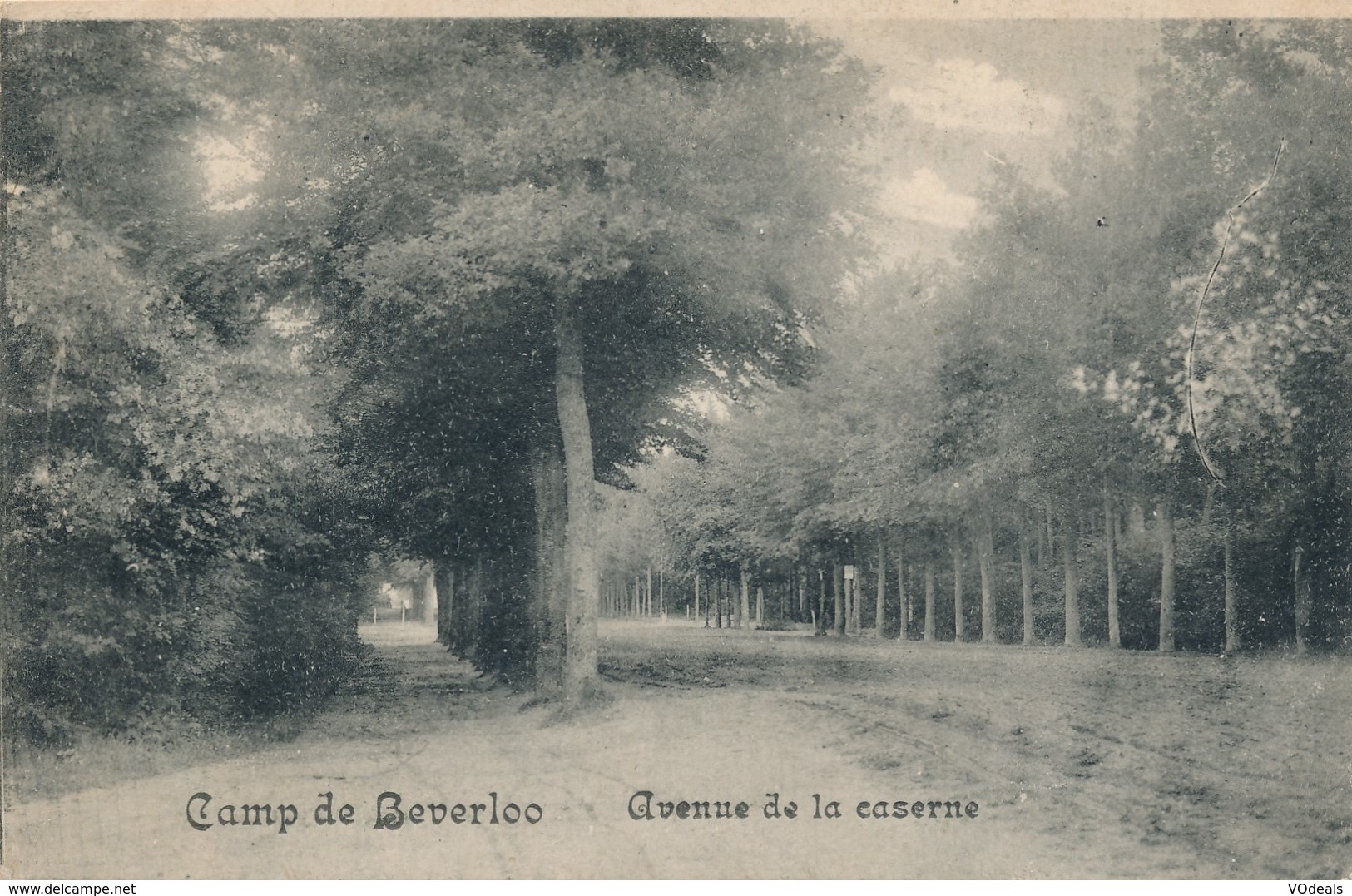 CPA - Belgique - Camp De Beverloo - Avenue De La Caserne - Leopoldsburg (Kamp Van Beverloo)