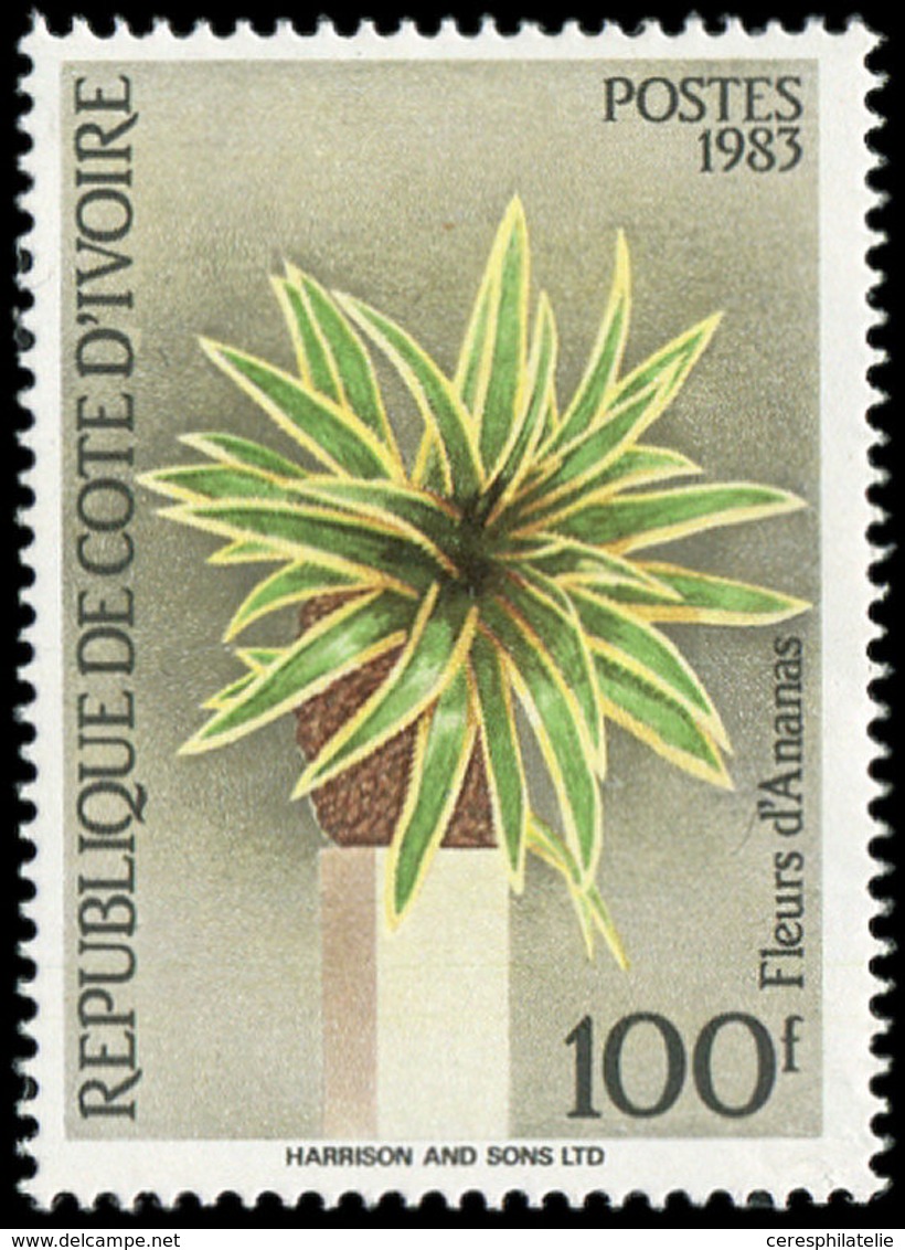 ** COTE D'IVOIRE 675c : 100f., Fleurs D'Ananas, TB - Sonstige & Ohne Zuordnung