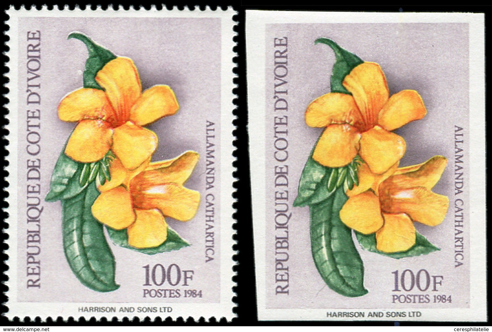 ** COTE D'IVOIRE 701E : 100f., Fleurs Indigènes, Dentelé Et Non Dentelé, TB - Autres & Non Classés