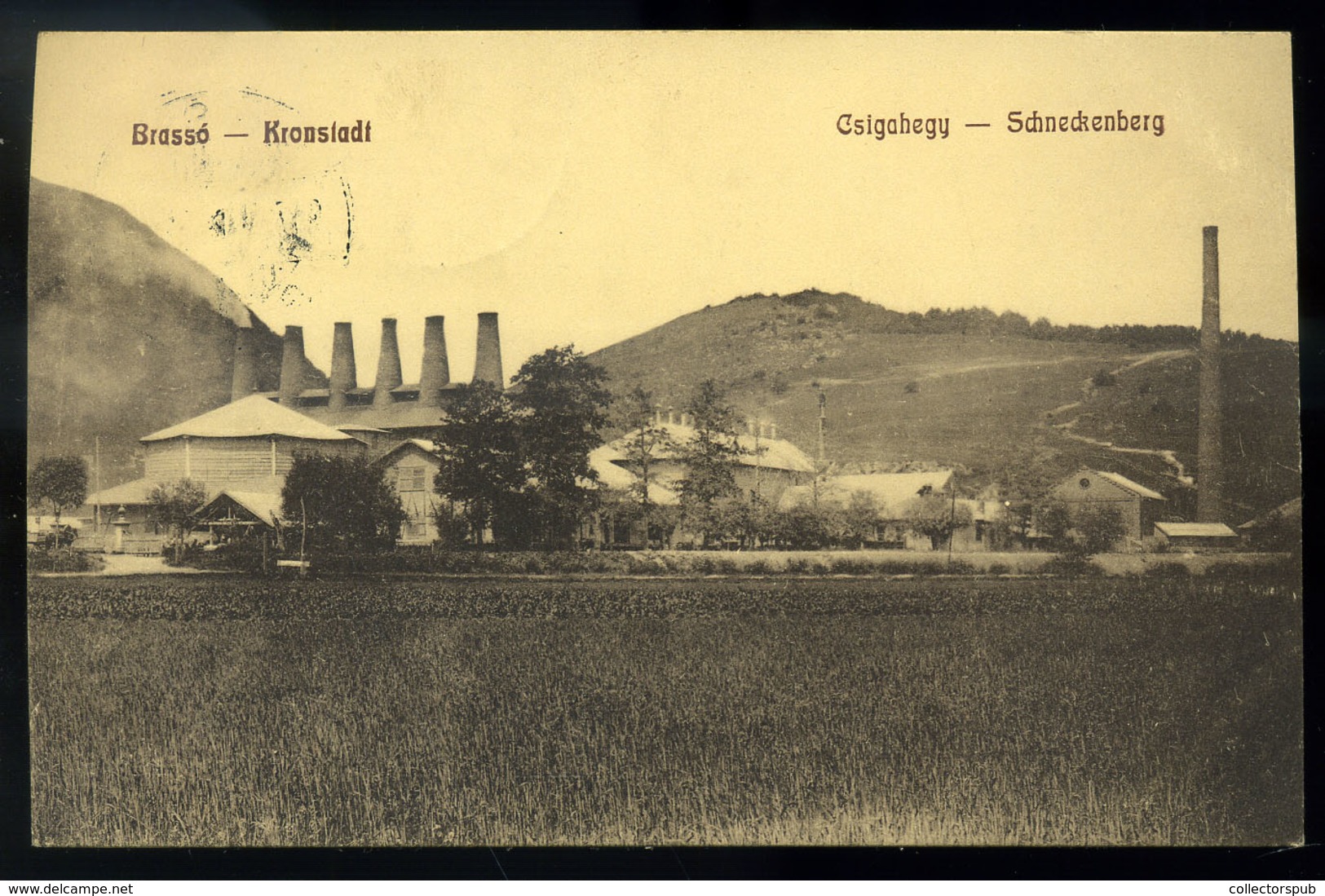 BRASSÓ 1917. Csigahegy ,régi Képeslap  /  BRASOV  Vintage Pic. P.card - Ungheria