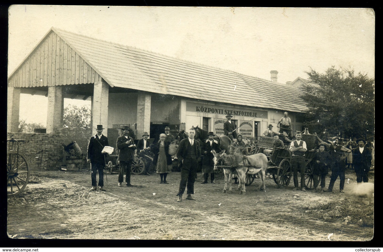 TÁPÉ Központi Szeszfőzde Fotós ,régi Képeslap  /  Central Distillery Photo  Vintage Pic. P.card - Ungarn