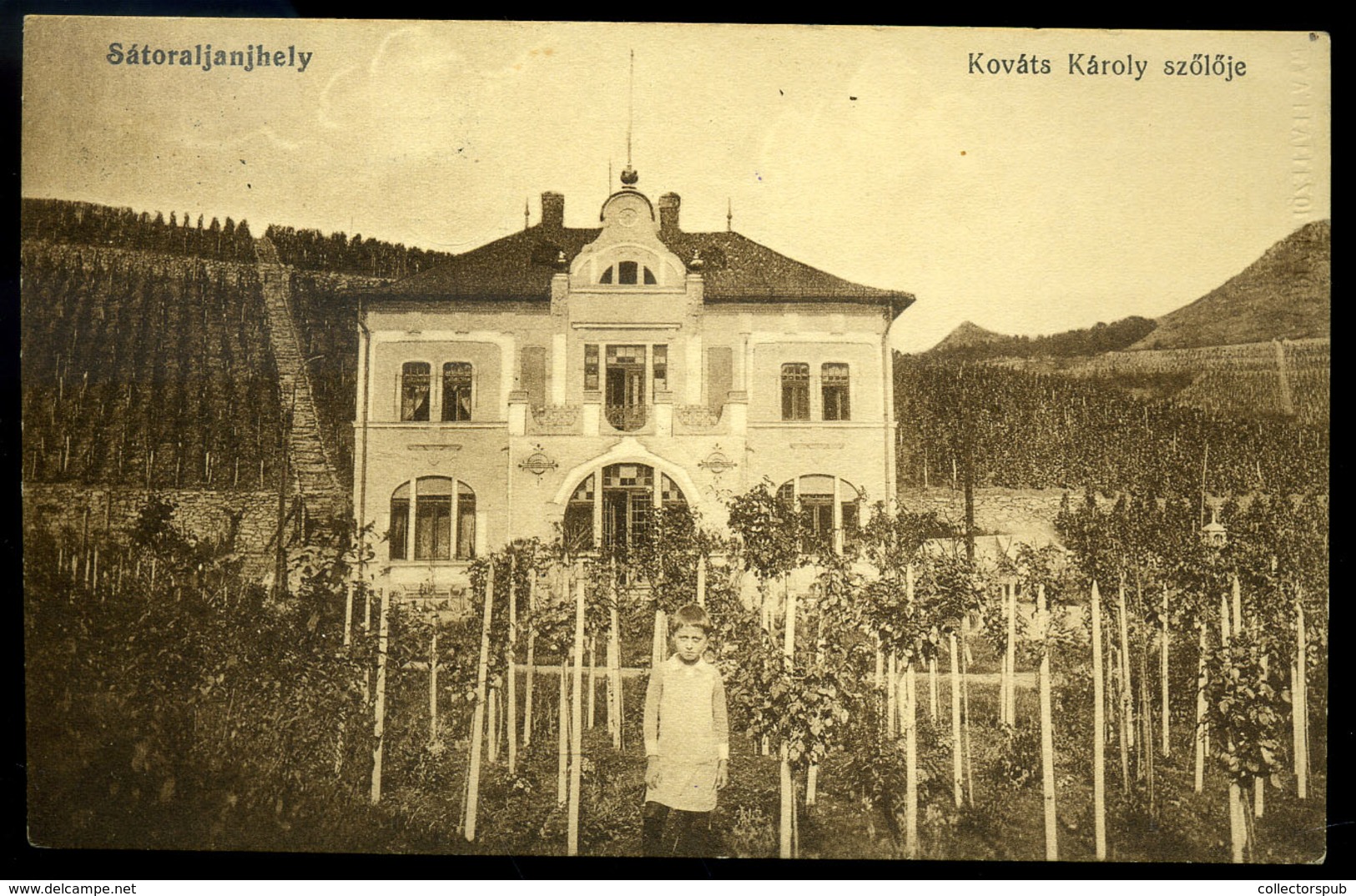 SÁTORALJAÚJHELY 1914. Kováts Károly Szőlője Régi Képeslap , Mozgóposta és Pályaudvari Bélyegzéssel  /  Károly Kováts' Vi - Hongarije