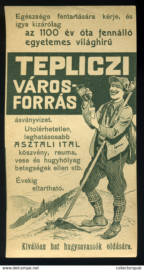 SZÁMOLÓ CÉDULA  Régi Reklám Grafika , Tepliczi ásványvíz  /  BAR TAB Vintage Adv. Graphics,  Mineral Water - Non Classificati