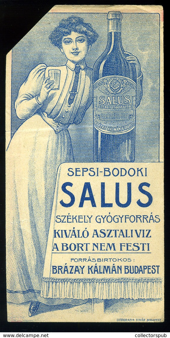 SZÁMOLÓ CÉDULA  Régi Reklám Grafika , Sepsi-Bodok ásványvíz  /  BAR TAB Vintage Adv. Graphics,   Mineral Water - Unclassified