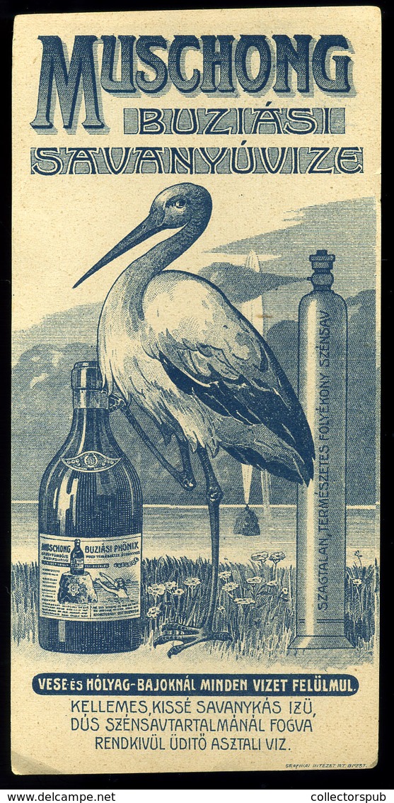 SZÁMOLÓ CÉDULA  Régi Reklám Grafika , Buziás Savanyúvíz  /  BAR TAB Vintage Adv. Graphics,  Sour Water - Unclassified