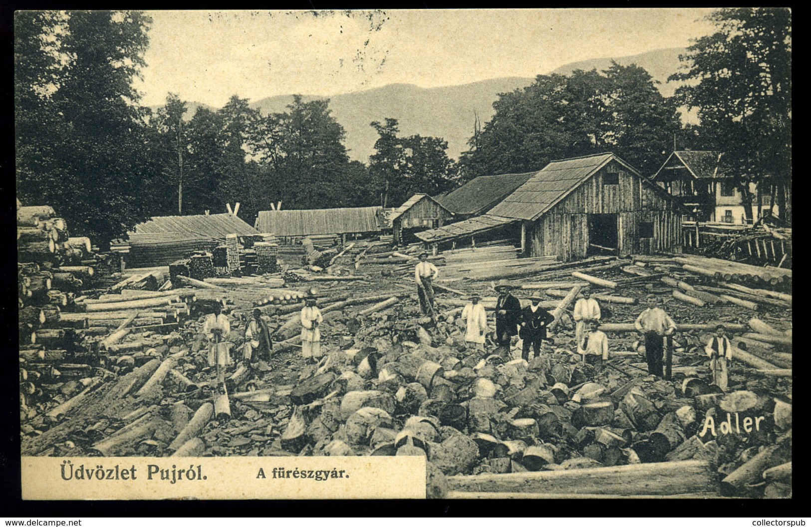 PUJ / Pui 1909. Fűrészgyár, Régi Képeslap  /  Saw Factory  Vintage Pic. P.card - Hungary