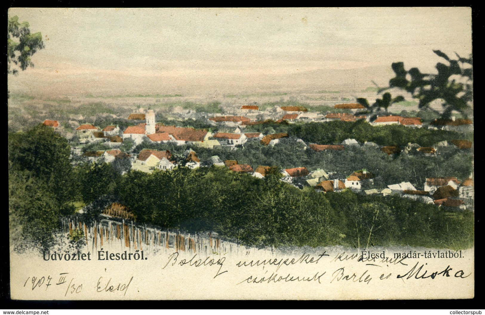 ÉLESD / Aleșd 1907. Régi Képeslap  /   Vintage Pic. P.card - Hongarije