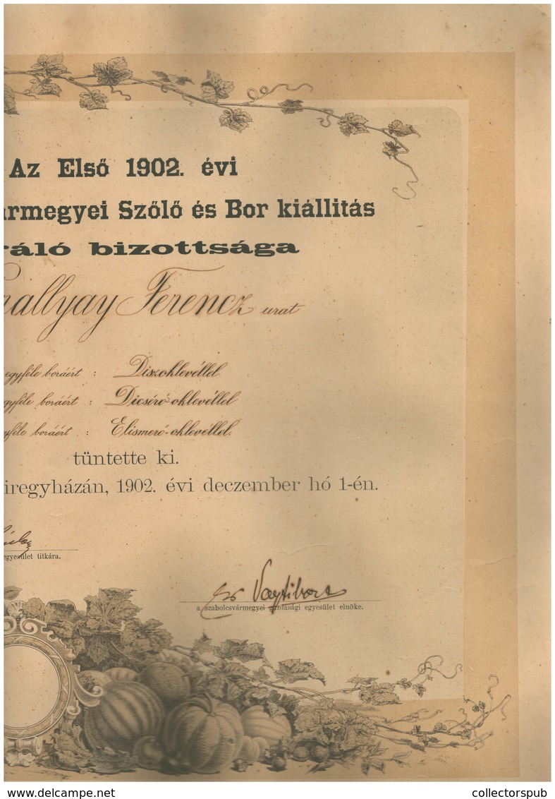1902. Első Szabolcs Vármegyei Szőlő és Bor Kiállítás, Dekoratív Litografált Diploma, Szép állapotban (több Részben Szken - Non Classés