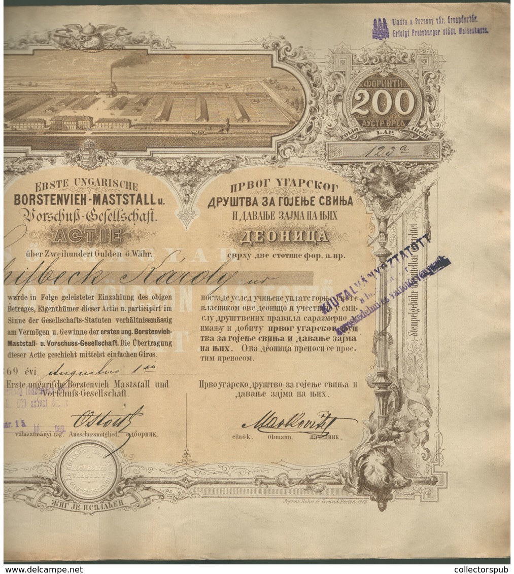 Első Magyar Sertéshizlaló és Kölcsön Előlegező Társulat Részvény 200 Forint 1869 - Pest  Ritka! (hajtott,jó állapotban.) - Unclassified