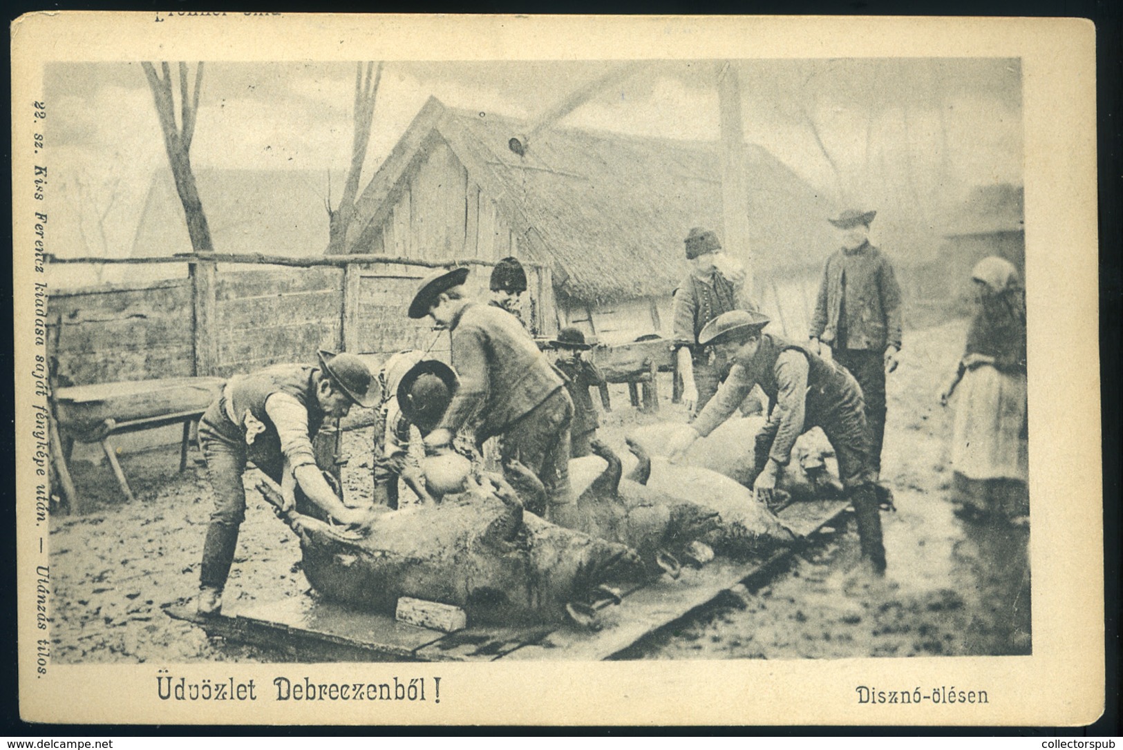 DEBRECEN 1930. Disznó ölés, Régi Képeslap  /  Pig Slaughtering   Vintage Pic. P.card - Hongrie