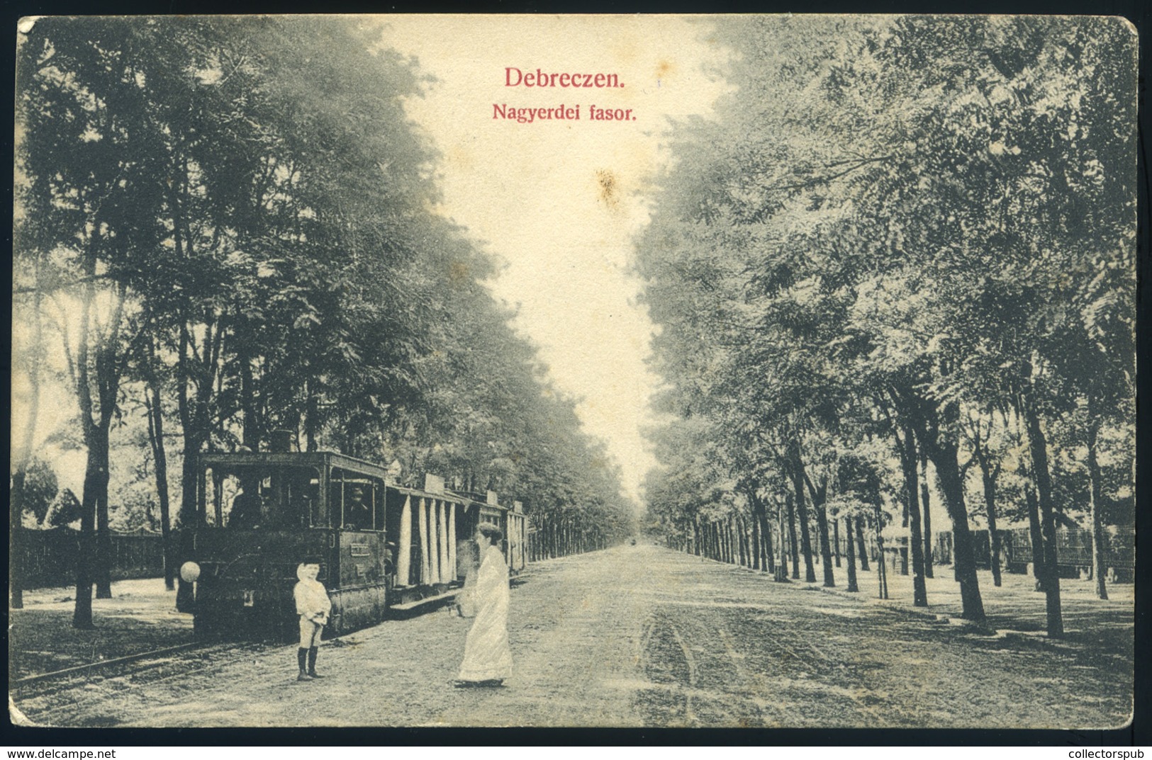 DEBRECEN 1906. Nagyerdei Fasor, Villamos, Régi Képeslap  /  Nagyerdei Alley , Tram,   Vintage Pic. P.card - Ungarn