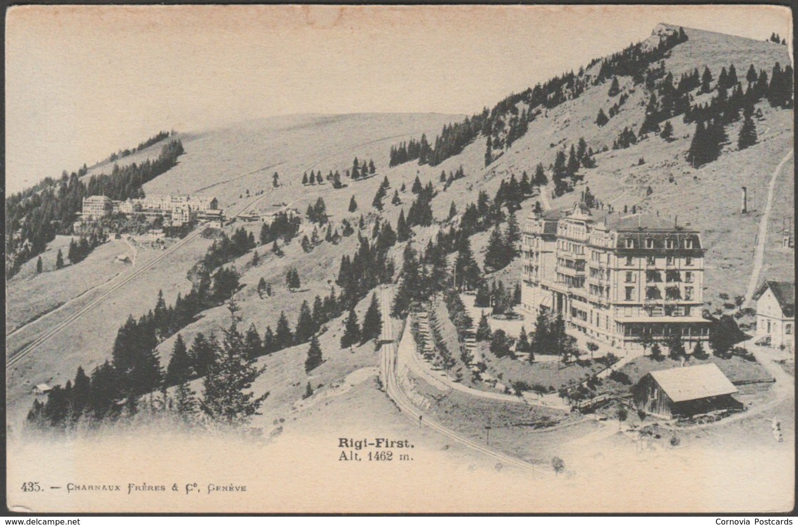 Rigi-First, Schwyz, C.1900-05 - Charnaux Frères CPA - Sonstige & Ohne Zuordnung