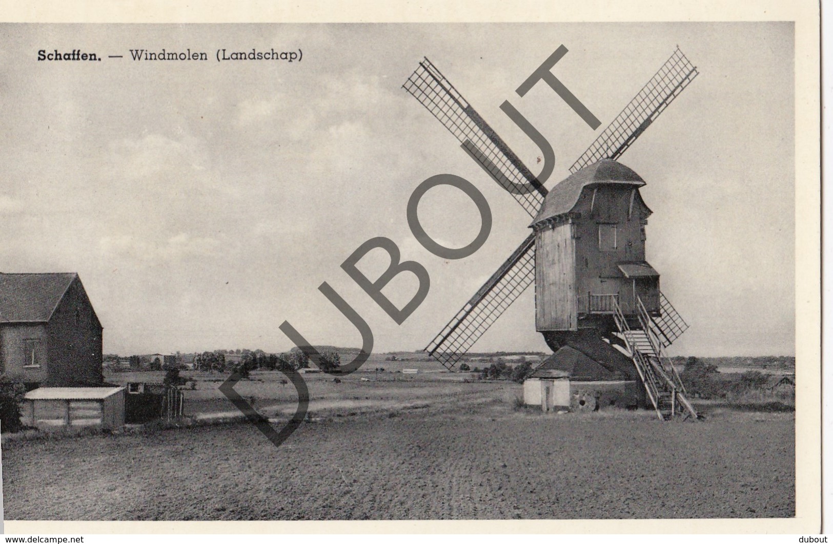 Postkaart-Carte Postale SCHAFFEN/DIEST Windmolen  (o673) - Diest