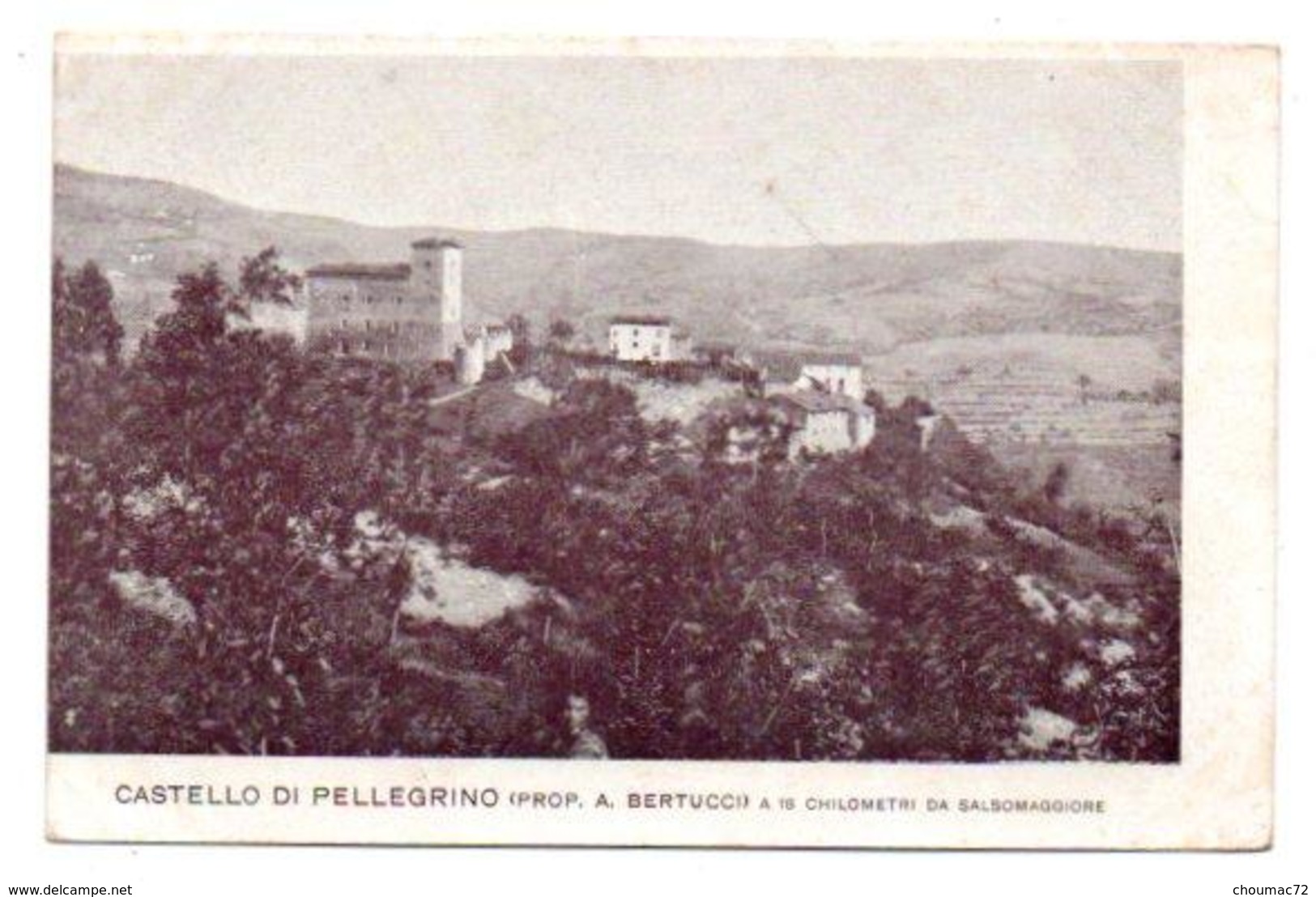 (Italie) Emilia-Romagna 056, Pellegrino Parmense, Castello Di Pellegrino, Dos Non Divisé - Altri & Non Classificati