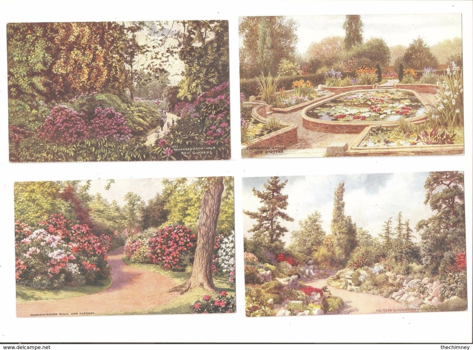 FOUR KEW KEW GARDENS AREA FLOWERS SURREY POSTCARDS - Surrey