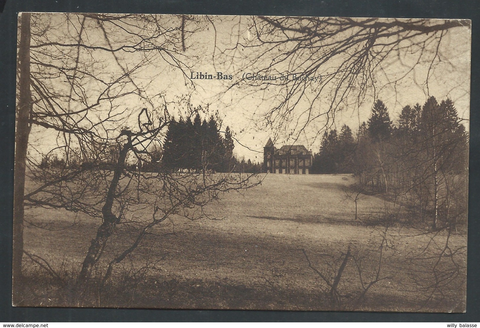 +++ CPA - LIBIN - BAS - Château Du Buchay    // - Libin