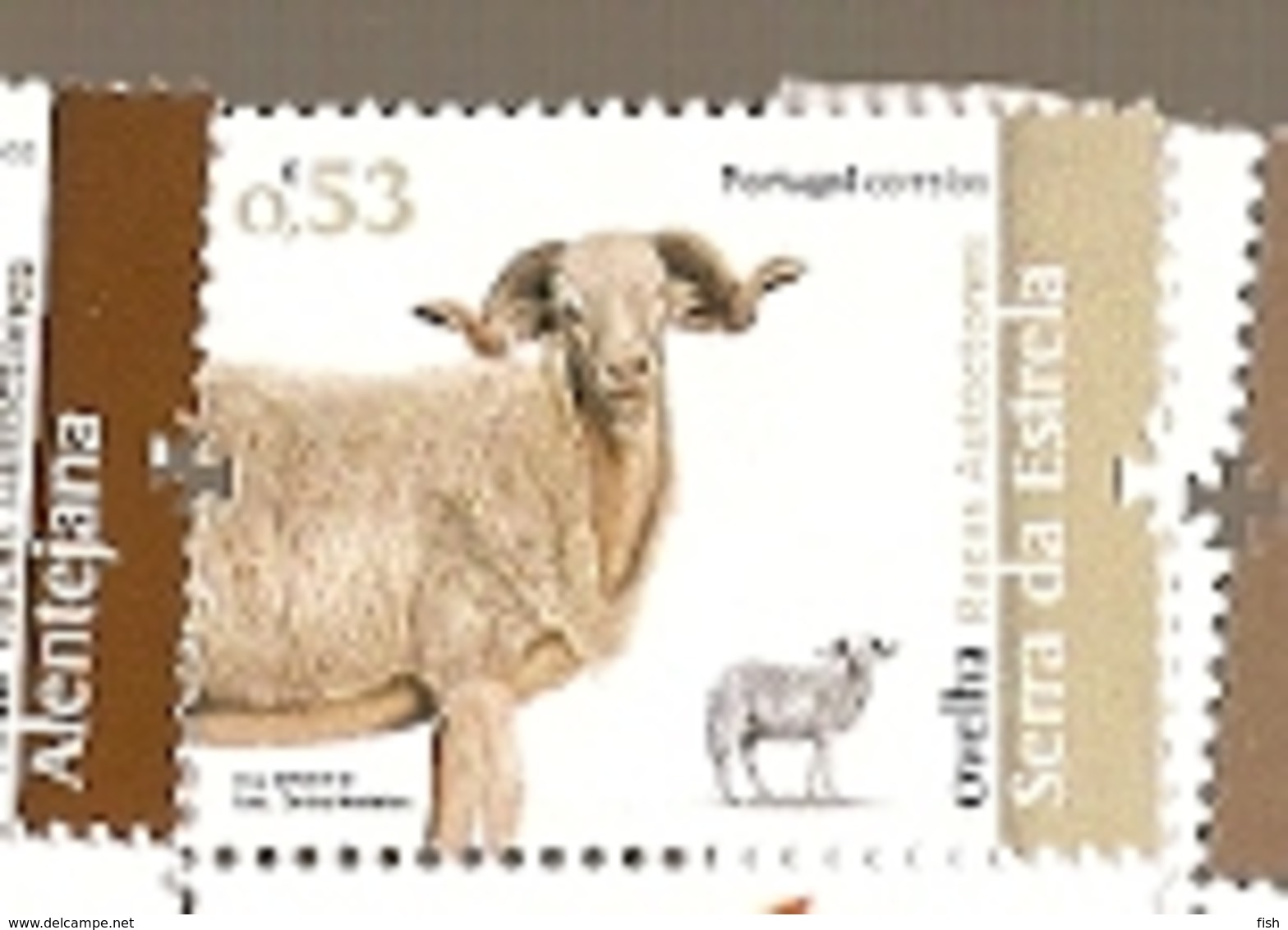 Portugal ** & Autochthonous Breeds Of Portugal, Sheep From The Serra Da Estrela 2019 (5782) - Fattoria