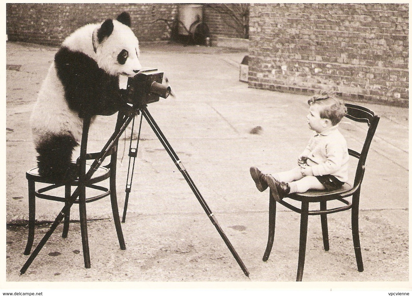 THE HULTON DEUTSCH COLLECTION BLACK & WHITE PANDOGRAPHER ENFANT / PANDA  SANTORO N° BW 870 - Autres & Non Classés