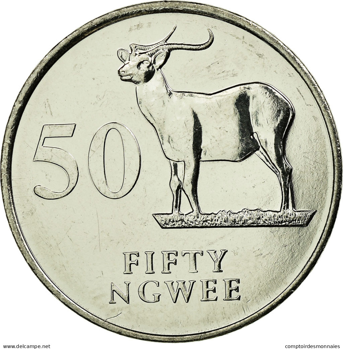 Monnaie, Zambie, 50 Ngwee, 1992, British Royal Mint, TTB, Nickel Plated Steel - Sambia