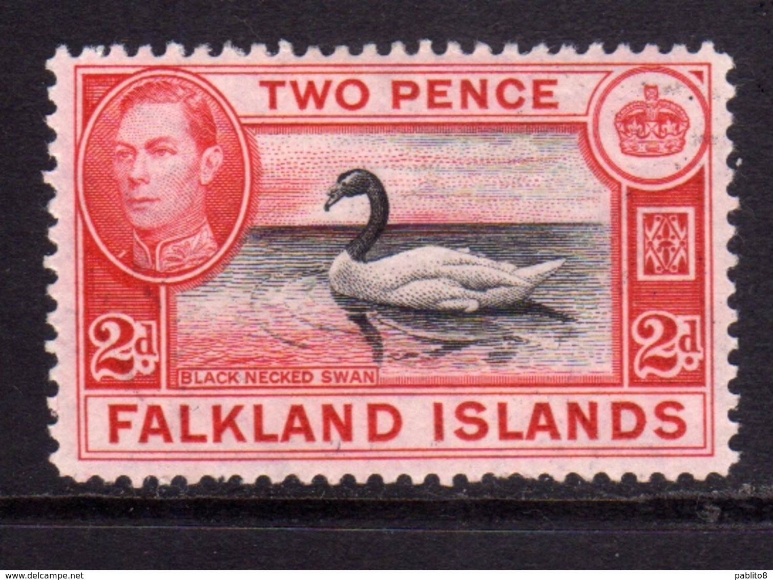 FALKLAND ISLANDS ISOLE 1938 BLACK NECKED SWAN KING GEORGE 2d ROSE CARMINE MNH - Falkland