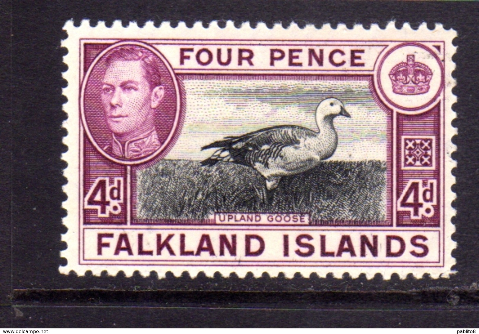 FALKLAND ISLANDS ISOLE 1938 UPLAND GOOSE KING GEORGE 4d  MNH - Falkland