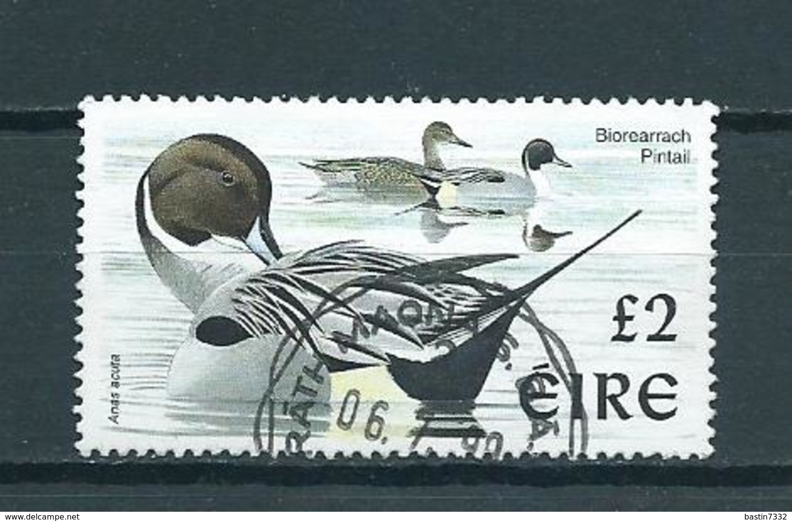 1997 Ireland £2 Birds,oiseaux,vögel Used/gebruikt/oblitere - Oblitérés