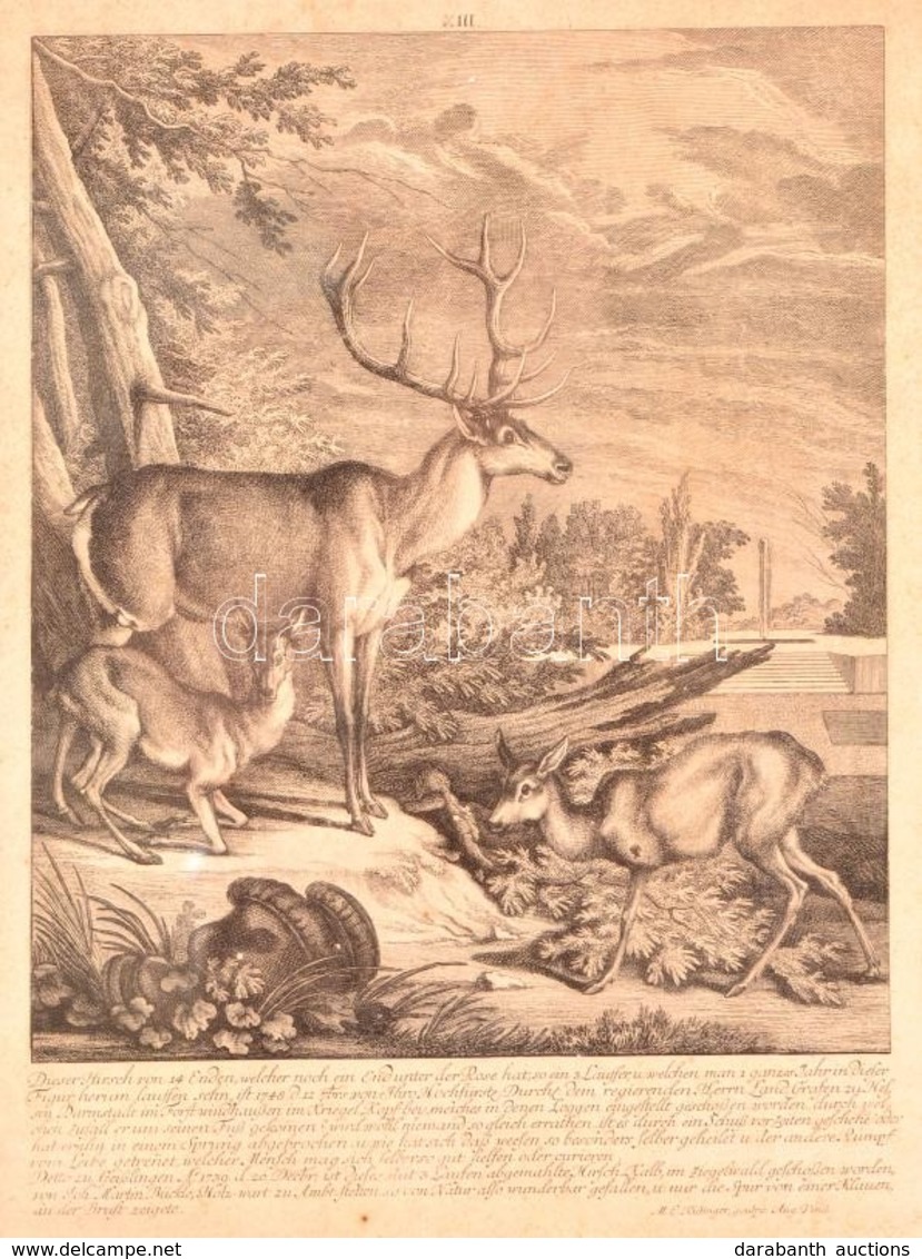 1768 Martin Elias Ridinger (1730-1781): 'Dieser Hirsch Von 14 Enden,...', Szarvasok, Rézmetszet, Papír, üvegezett Fa Ker - Estampes & Gravures