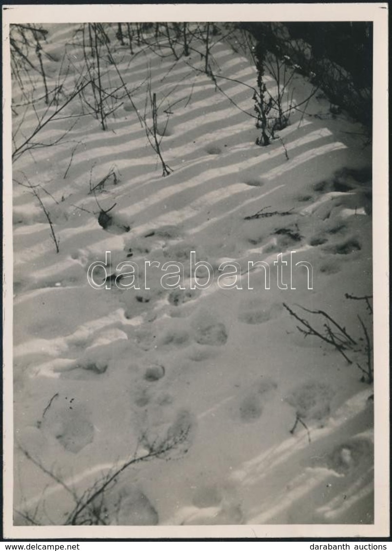 Cca 1934 Kinszki Imre (1901-1945) Budapesti Fotóművész Pecséttel Jelzett Vintage Alkotása (Tél), 18x13 Cm - Autres & Non Classés