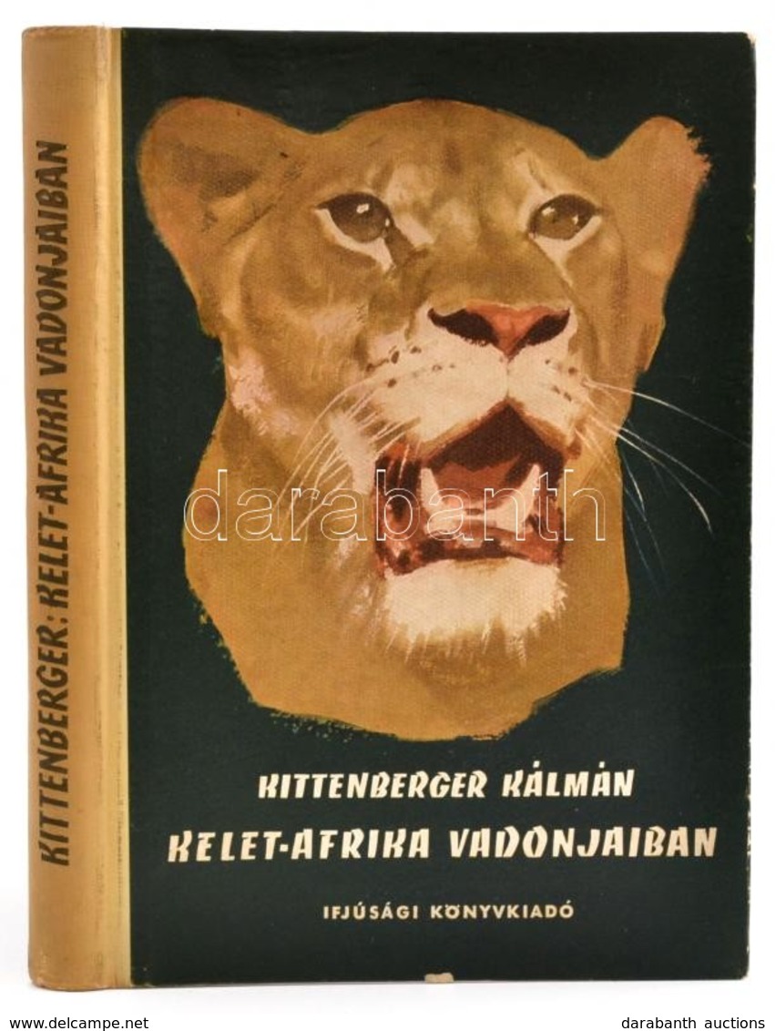 Kittenberger Kálmán: Kelet-Afrika Vadonjaiban. Bp., 1955, Ifjúsági Könyvkiadó. Első Kiadás. Kiadói Félvászon-kötés, Kis  - Non Classés