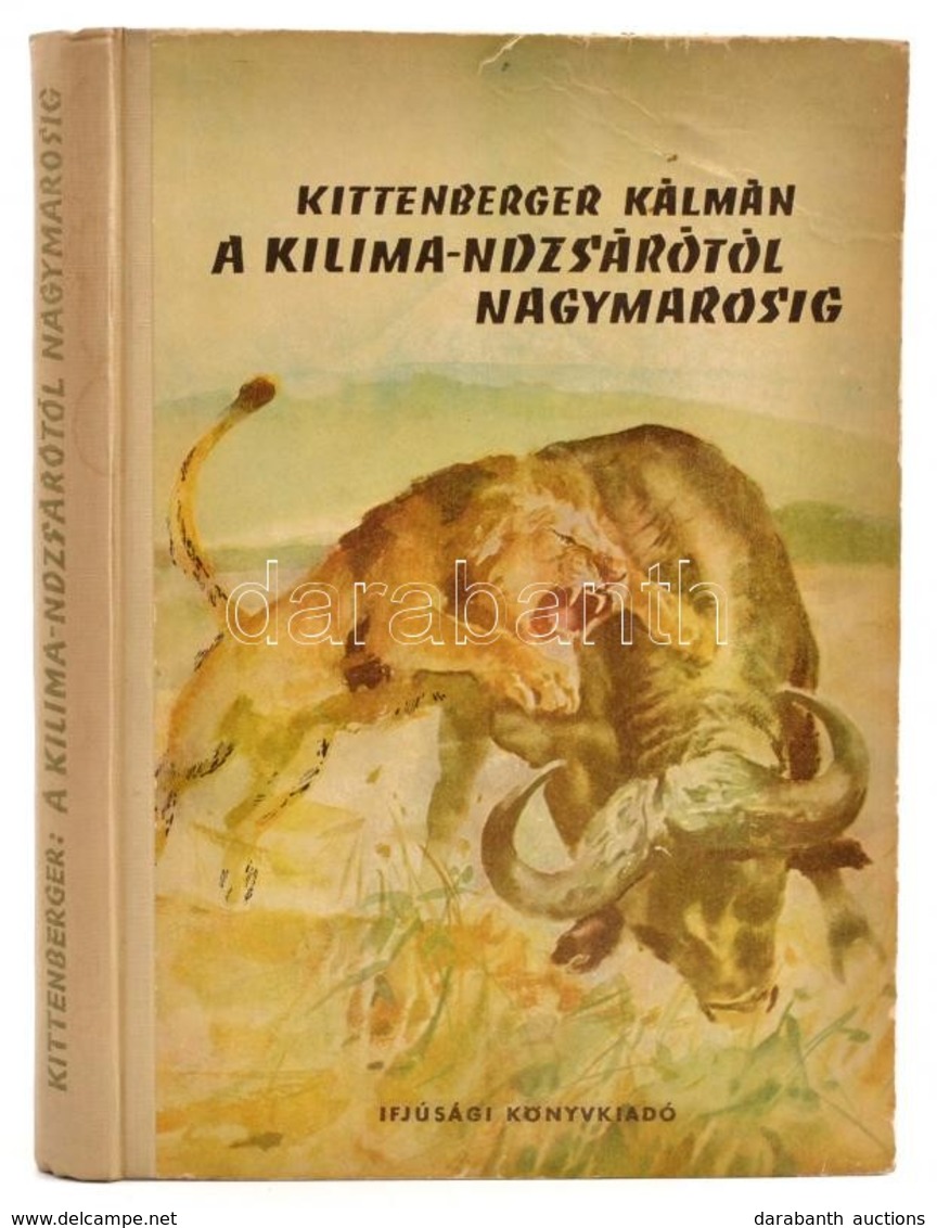 Kittenberger Kálmán: A Kilimandzsárótól Nagymarosig. Bp., 1956, Ifjúsági Könyvkiadó. Első Kiadás. Kiadói Félvászon-kötés - Ohne Zuordnung