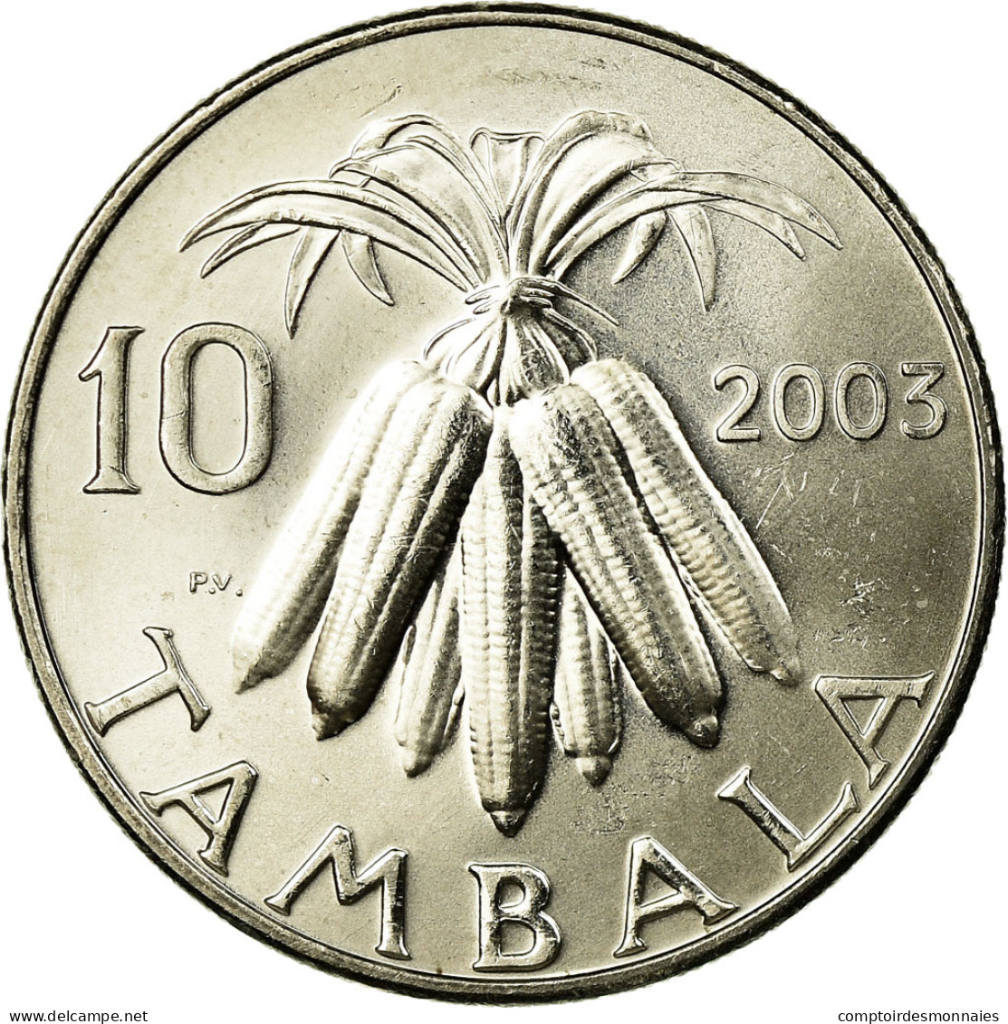 Monnaie, Malawi, 10 Tambala, 2003, SUP, Nickel Plated Steel, KM:27 - Malawi