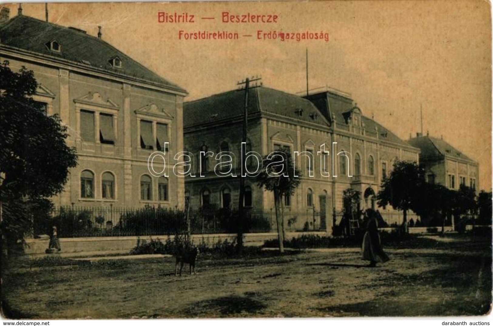 * T2/T3 1907 Beszterce, Bistritz, Bistrita; Forstdirektion / Erdőigazgatóság. W. L. (?) No. 389. Kiadja M. Haupt / Fores - Non Classés