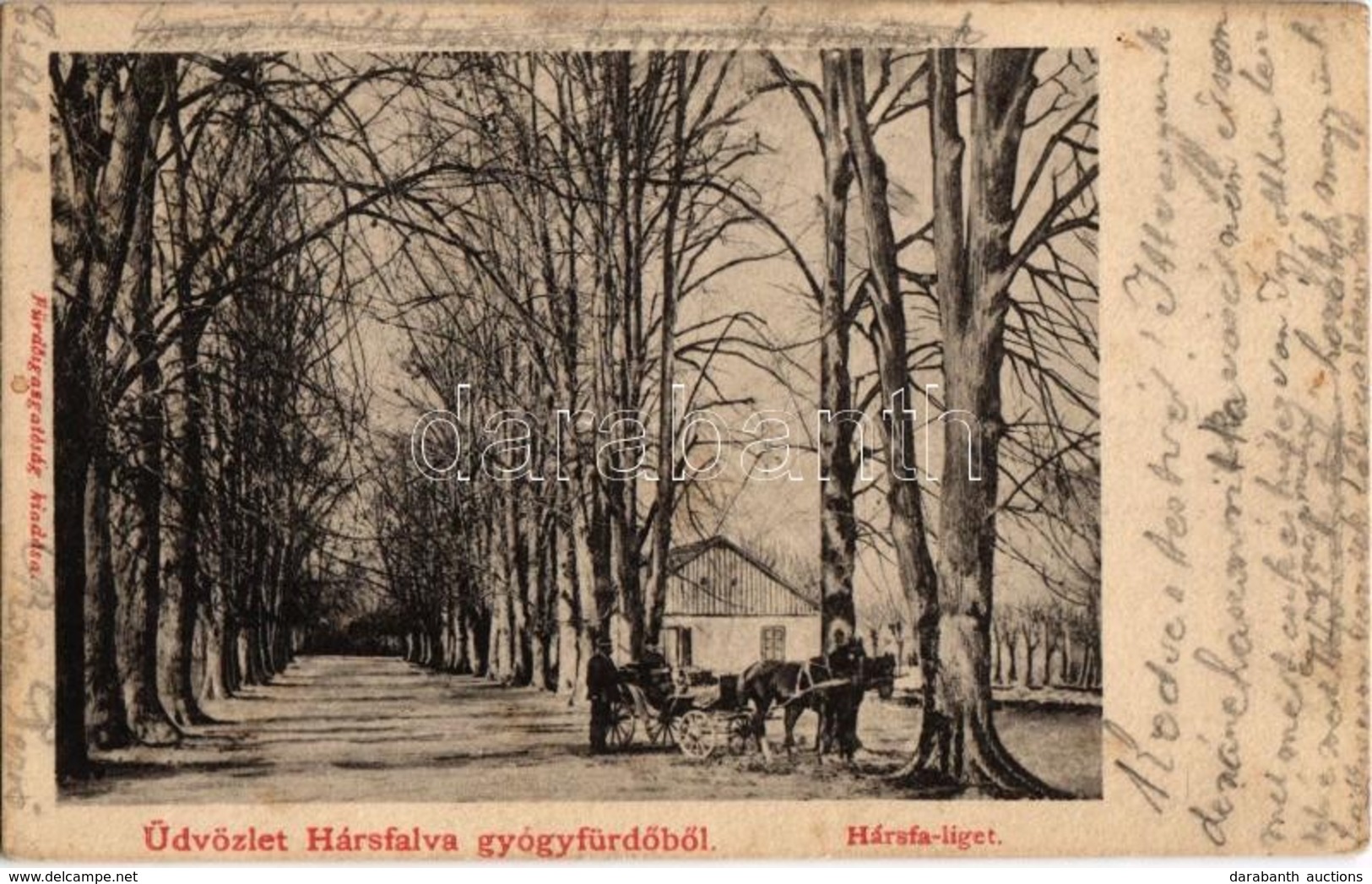 T2/T3 1906 Hársfalva-gyógyfürdő (Szolyva), Nelipino, Nelipyno; Hársfa Liget / Linden Tree Promenade (EK) - Non Classés