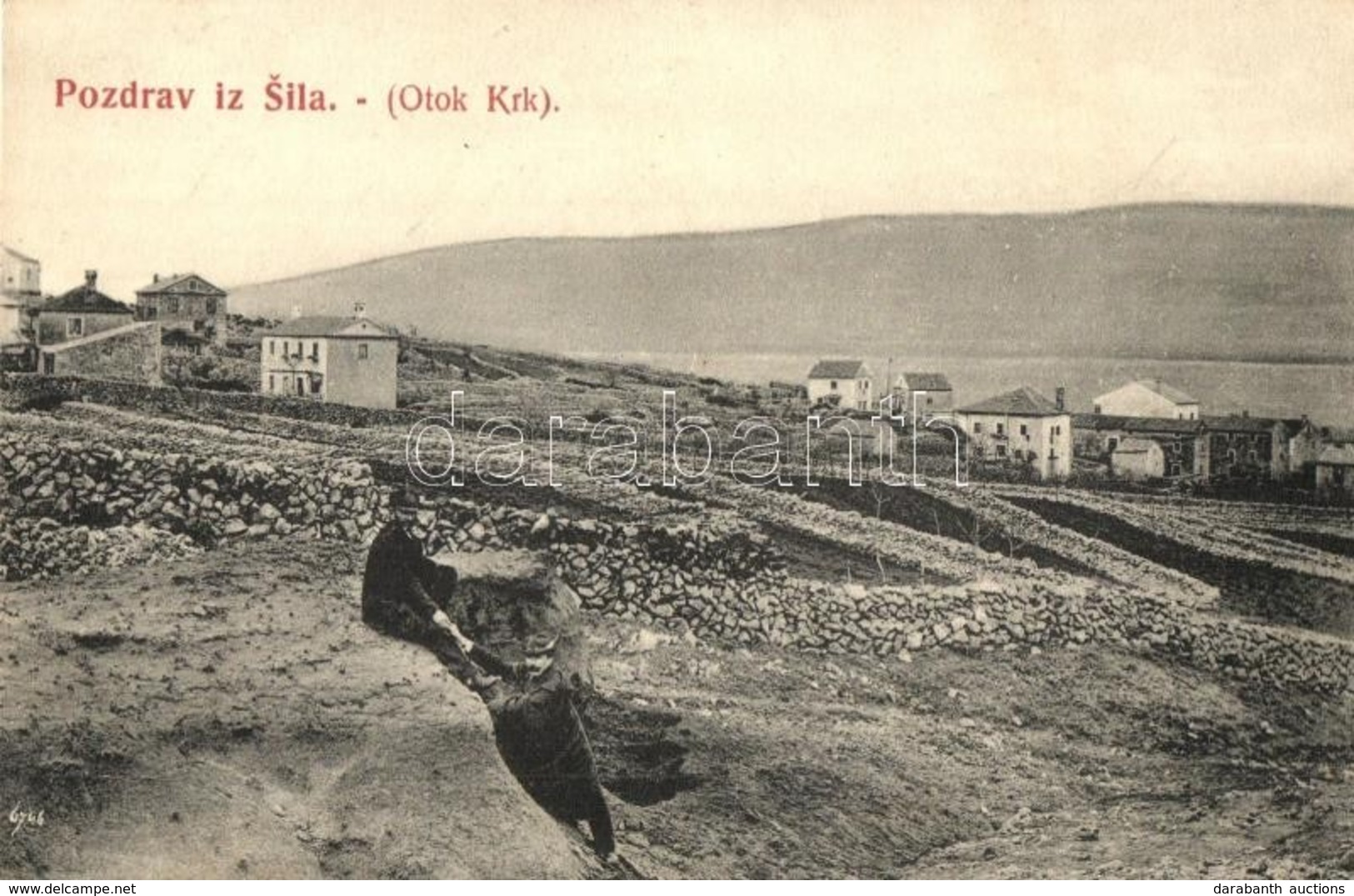 * T2 Silo (Otok Krk), Teraszok Kialakítása A Termőföld Megtartására / Creating Terraces To Retain Soil, Farm - Non Classés